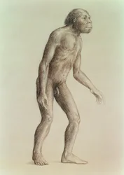 Neandertal